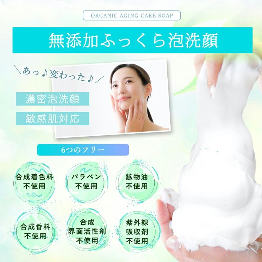 オーガニック 泡洗顔 女性 RESESTA 高機能 美容 濃密泡 リンゴ オーガニック 泡洗顔 女性 RESESTA 高機能 美容 濃密泡 リンゴ
