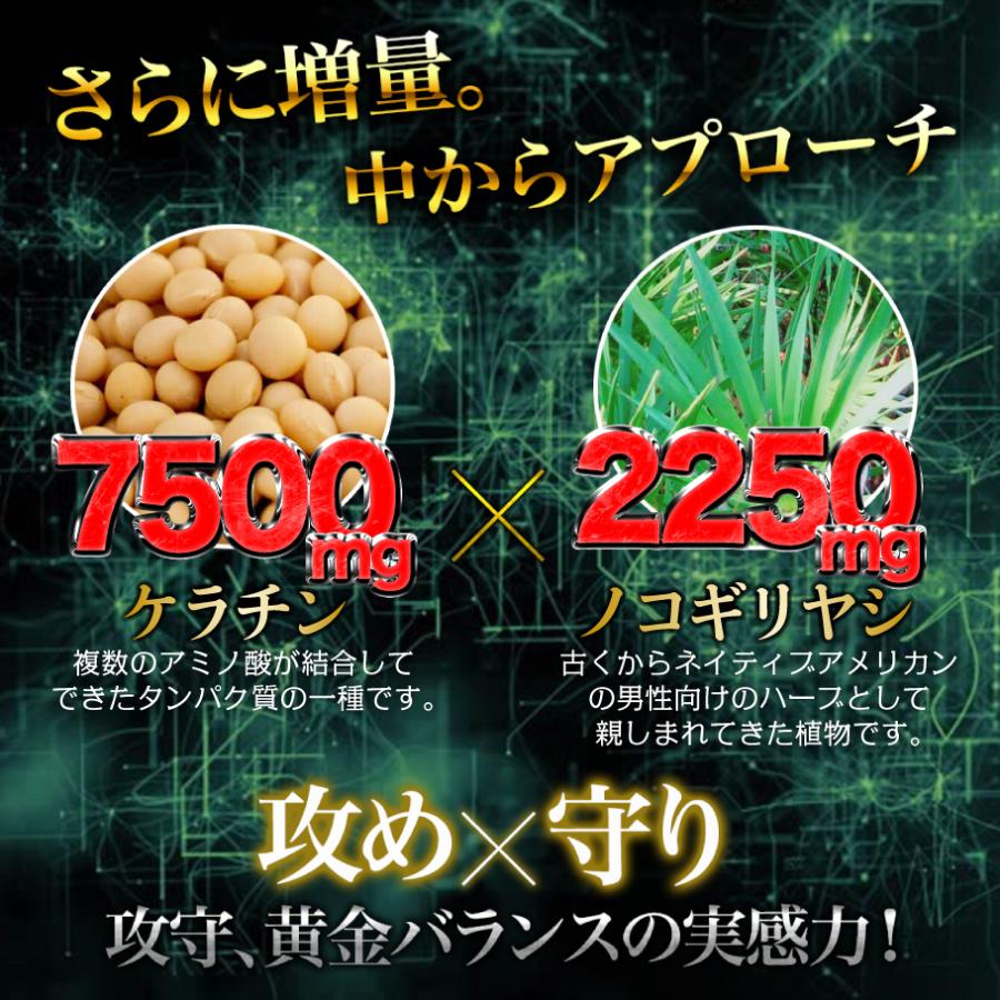 ノコギリヤシ サプリ ケラチン 7500mg ノコギリヤシ 2250mg 亜鉛 大豆イソフラボン 亜鉛 男性 90粒 Black Up Energy |  | 11