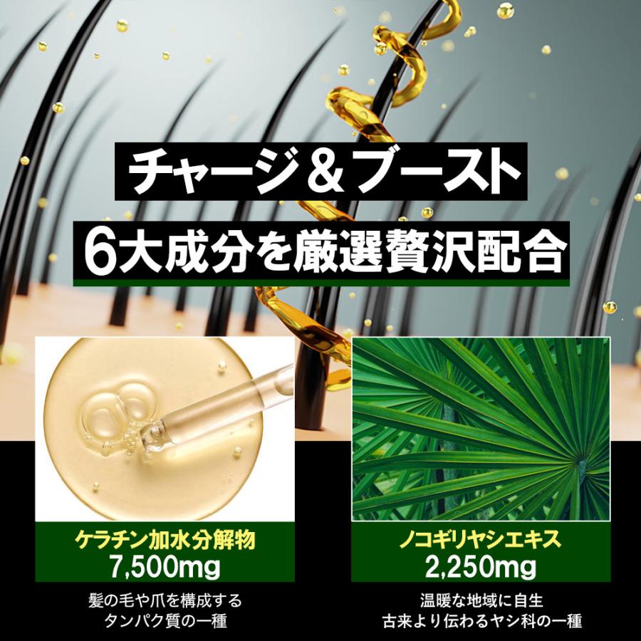 ノコギリヤシ サプリ ケラチン 7500mg ノコギリヤシ 2250mg 亜鉛 大豆イソフラボン 亜鉛 男性 90粒 Black Up Energy |  | 12