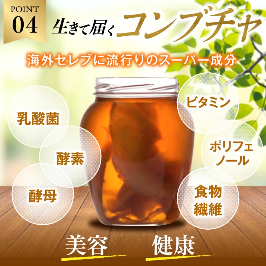 ダイエット 燃焼系 サプリ αリポ酸 Lカルニチン 燃焼 甘草 明日 ダイエット 燃焼系 サプリ αリポ酸 Lカルニチン 燃焼 甘草 明日