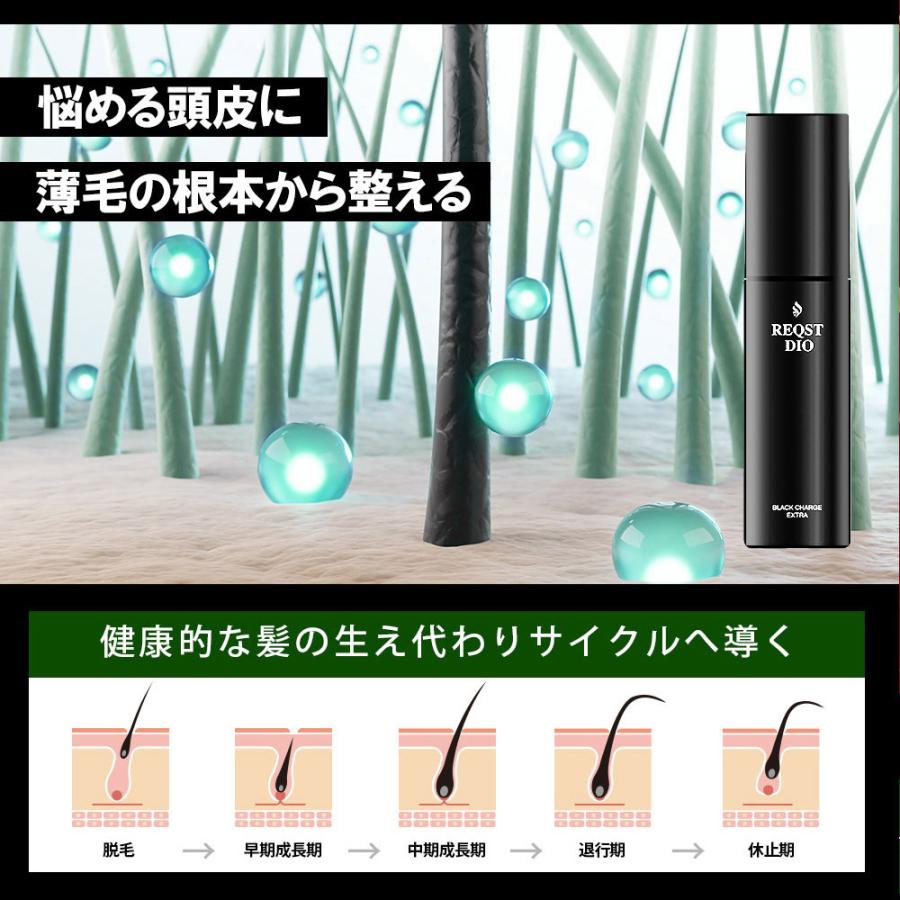 育毛剤 BLACK CHARGE EXTRA 薬用 発毛促進 抜け毛 男性用育毛剤 育毛剤 BLACK CHARGE EXTRA 薬用 発毛促進 抜け毛 男性用育毛剤