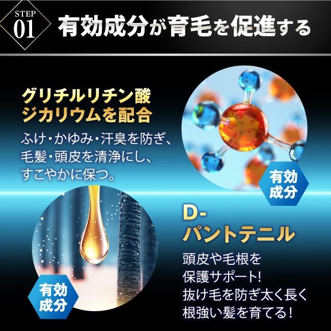 育毛剤 育毛剤 BLACK CHARGE EXTRA 薬用 発毛促進 抜け毛 男性用育毛剤