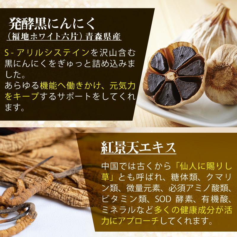 健康維持 元気 サプリ 霊芝 12000mg 高配合 スピルリナ 健康維持 元気 サプリ 霊芝 12000mg 高配合 スピルリナ