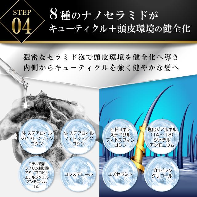 ヘアケア スカルプ シャンプー BLACK BOTANICAL SHAMPOO ハリ ヘアケア スカルプ シャンプー BLACK BOTANICAL SHAMPOO ハリ