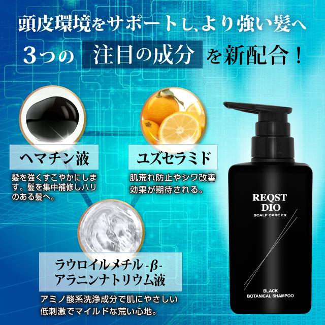 ヘアケア スカルプ シャンプー BLACK BOTANICAL SHAMPOO ハリ ヘアケア スカルプ シャンプー BLACK BOTANICAL SHAMPOO ハリ