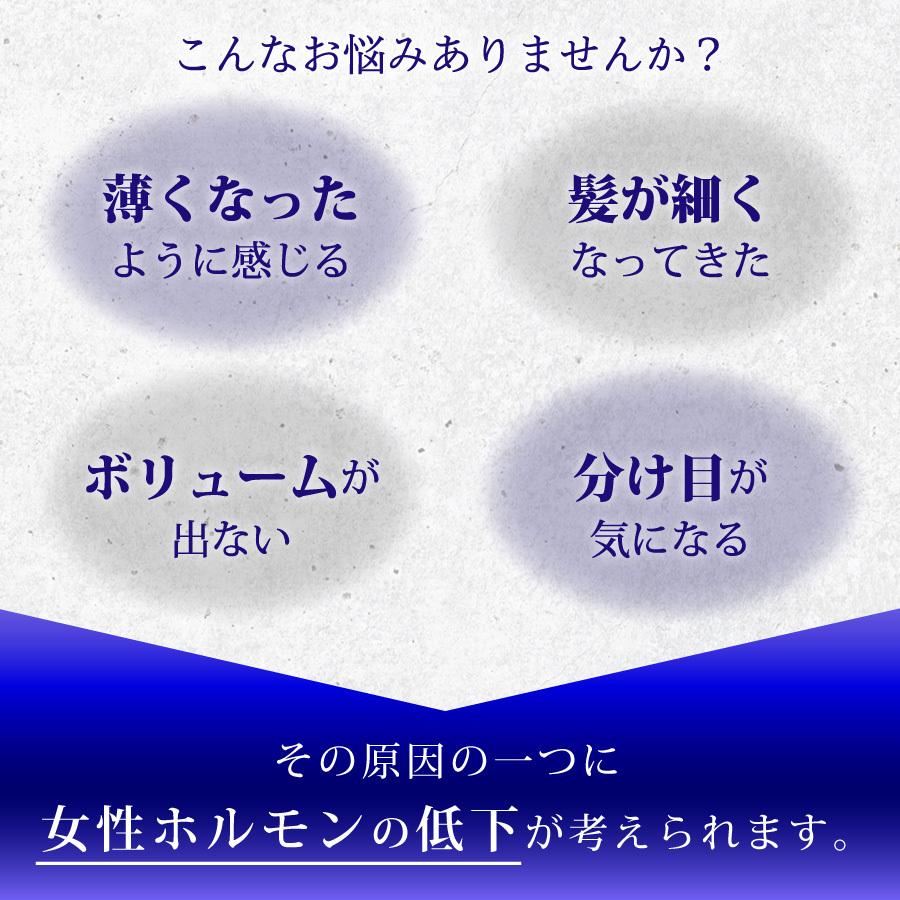 育毛 養毛料 Resesta ノンシリコン リデンシル3 配合 ボリュームとハリ コシ 女性用 男性 美しい髪へ ランキング ヘアケア 頭皮ケア人気 超人気 専門店
