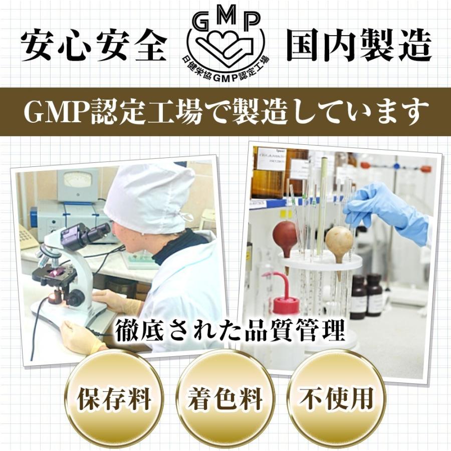 マカ サプリ 亜鉛 シトルリン 16000mg クラチャイダム にんにく マカ サプリ 亜鉛 シトルリン 16000mg クラチャイダム にんにく