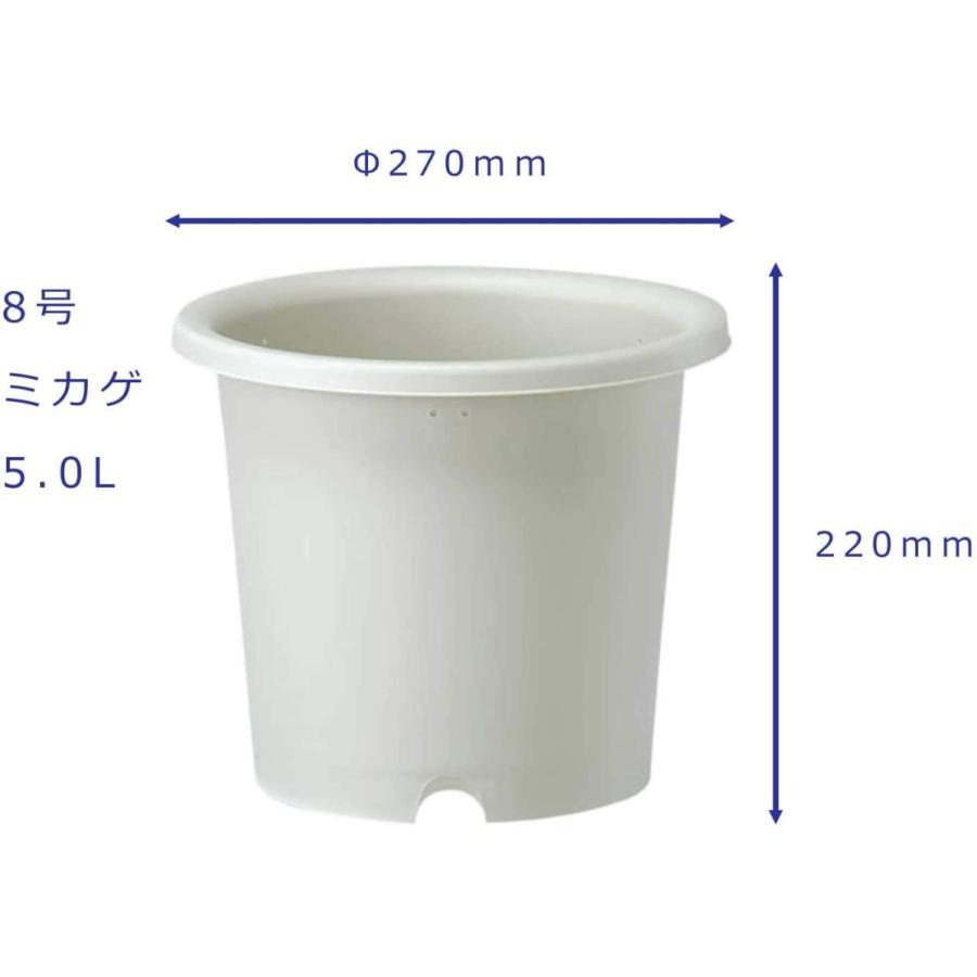 大和プラスチック 菜園鉢 8号 長鉢 ミカゲ Mサイズ 日本製 支柱鉢 5L