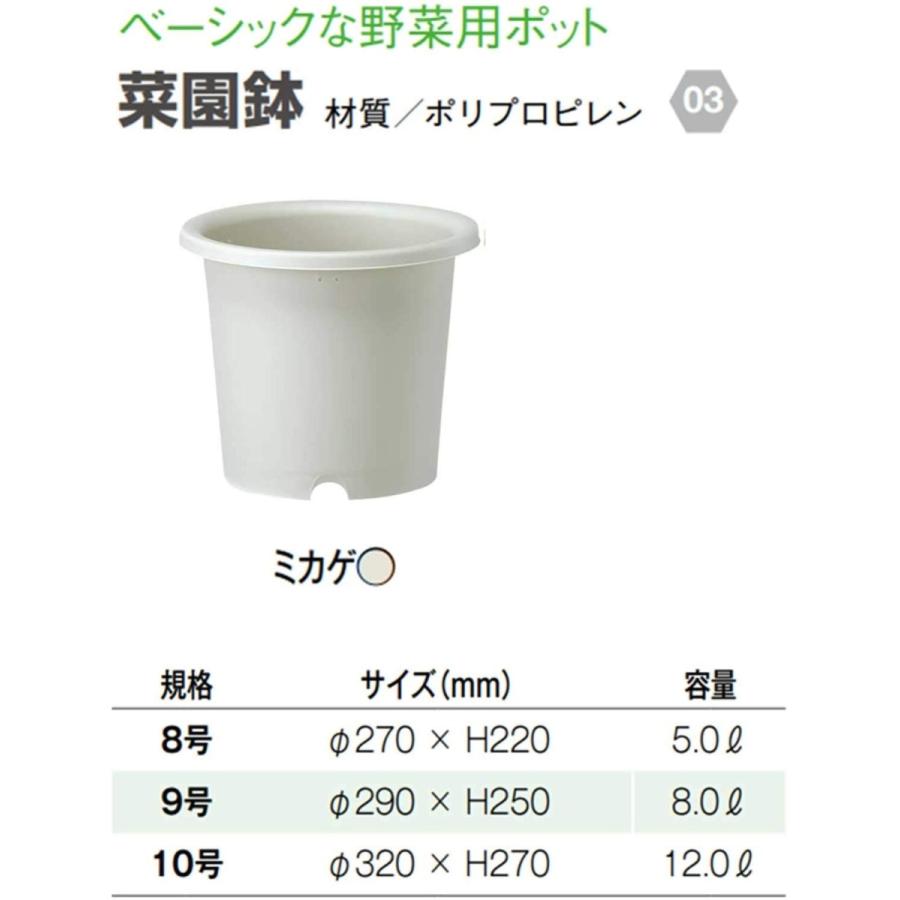 大和プラスチック 菜園鉢 8号 長鉢 ミカゲ Mサイズ 日本製 支柱 大和プラスチック 菜園鉢 8号 長鉢 ミカゲ Mサイズ 日本製 支柱