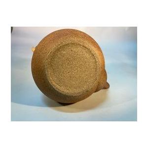 土瓶 急須 信楽焼 どびん 土物 おしゃれ レトロ 渋い モダン 信楽焼き