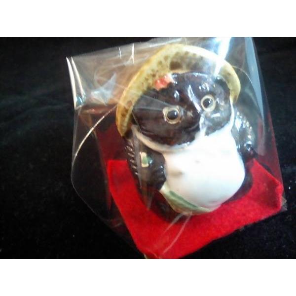 たぬき メス 信楽焼 日本製 粗品 タヌキ かわいい 縁起物 幸運 招き