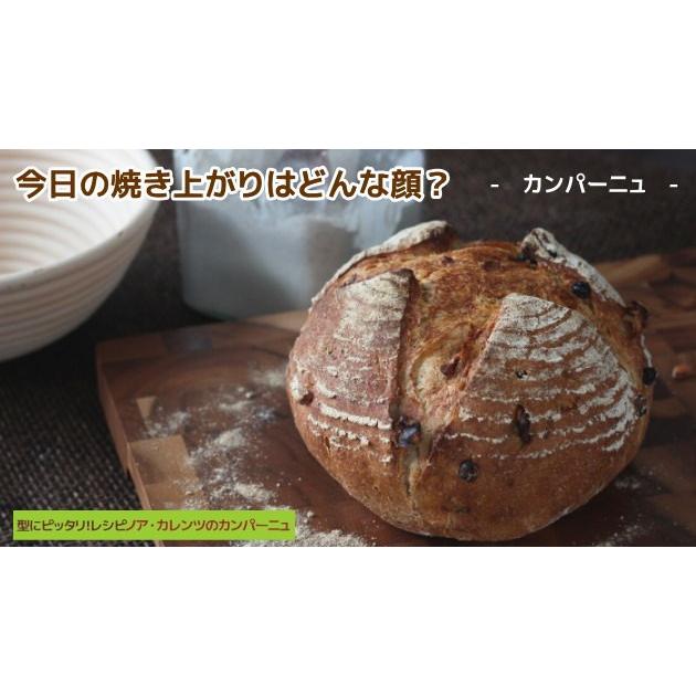 10%OFFクーポン〜2/1(日) 23:59」NEW発酵かご 丸 φ190mm 天然籐素材 No