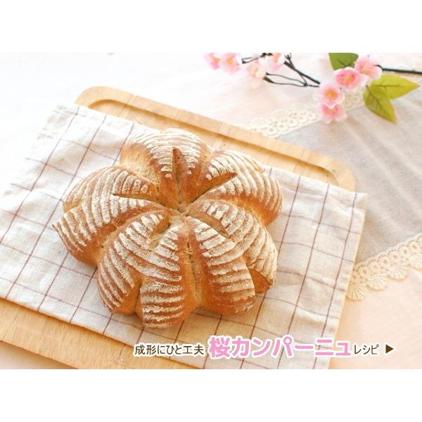 NEW発酵かご 丸 φ190mm 天然籐素材 No.1S : かっぱ橋 浅井商店 製菓製