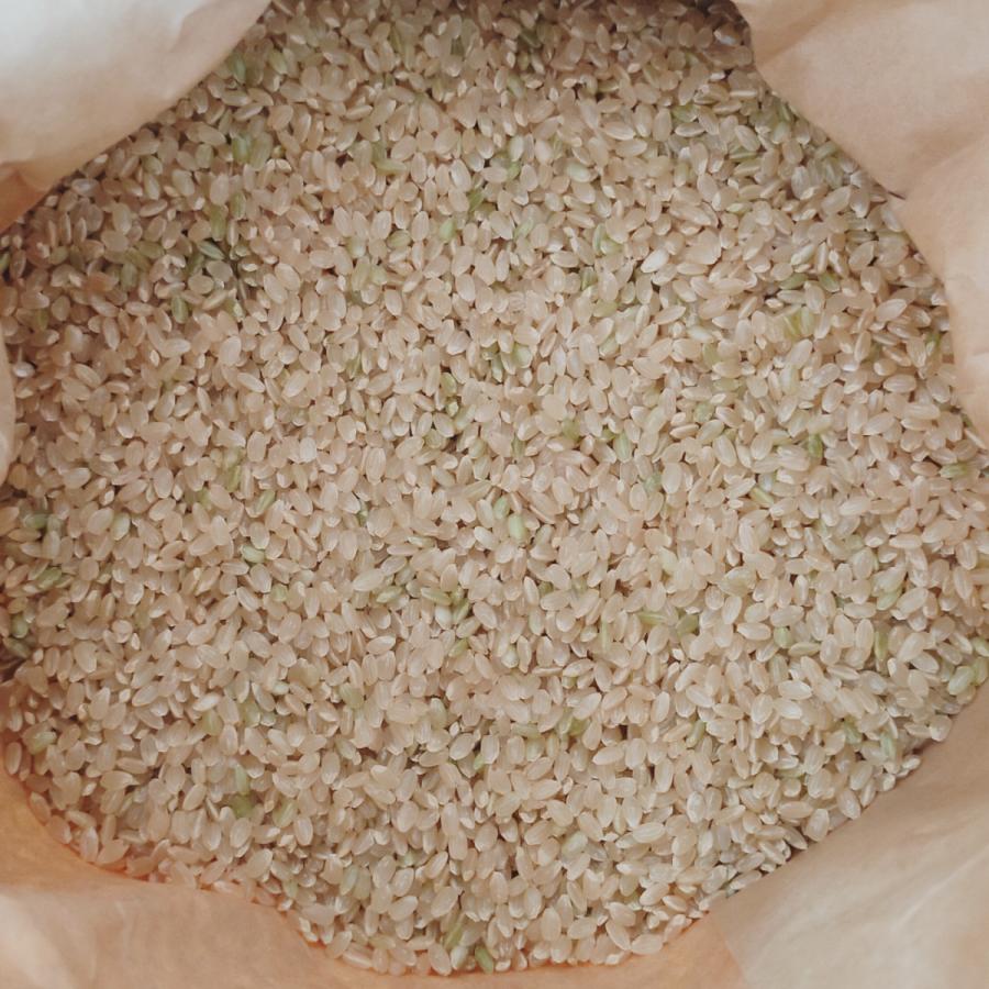 コシヒカリ 【 玄米 】 20kg 特別栽培米こしひかり 令和7年産 京都府