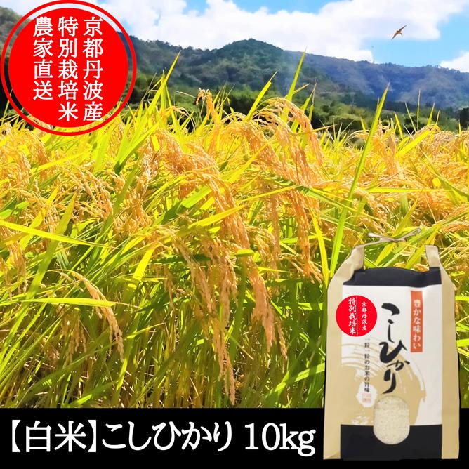 丹波産 コシヒカリ 特別栽培米 10キロ