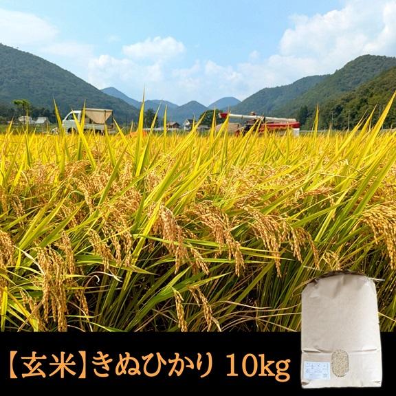 キヌヒカリ きぬひかり【 玄米 】 10kg 令和7年産 京都府産 : 京丹波