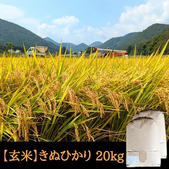 令和7年産 キヌヒカリ玄米20kg 令和5年収穫 和歌山県産キヌヒカリ 玄米 25kg 【公式通販】