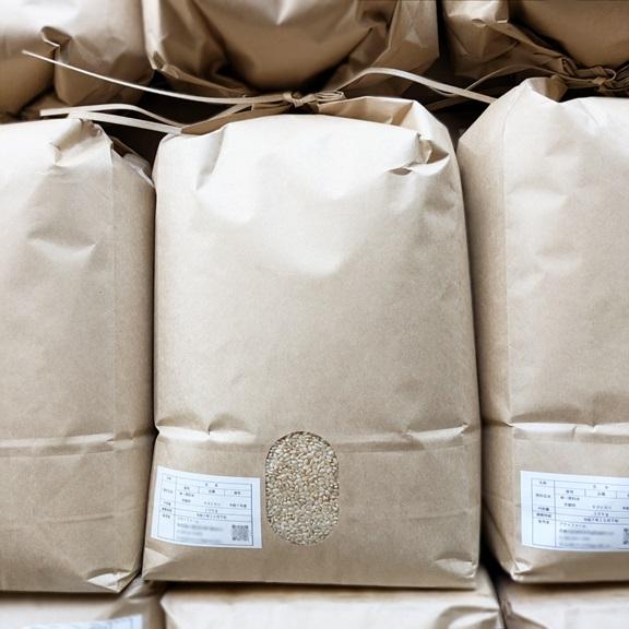 令和7年産 キヌヒカリ玄米20kg キヌヒカリ きぬひかり【 玄米 】20kg 令和7年産 京都府産 : 京丹波