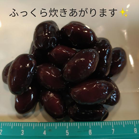 丹波黒大豆 【2Lサイズ】500g 京丹波産 令和7年産 : 京丹波アサイ