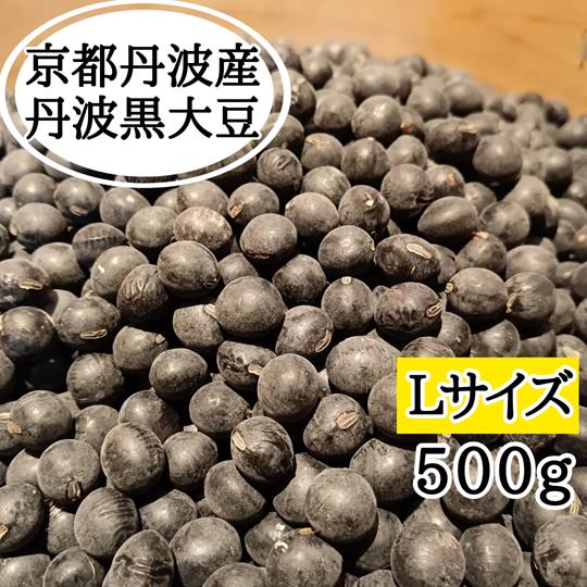 丹波黒大豆 【Lサイズ】500g 京丹波産 令和7年産 : 京丹波アサイ