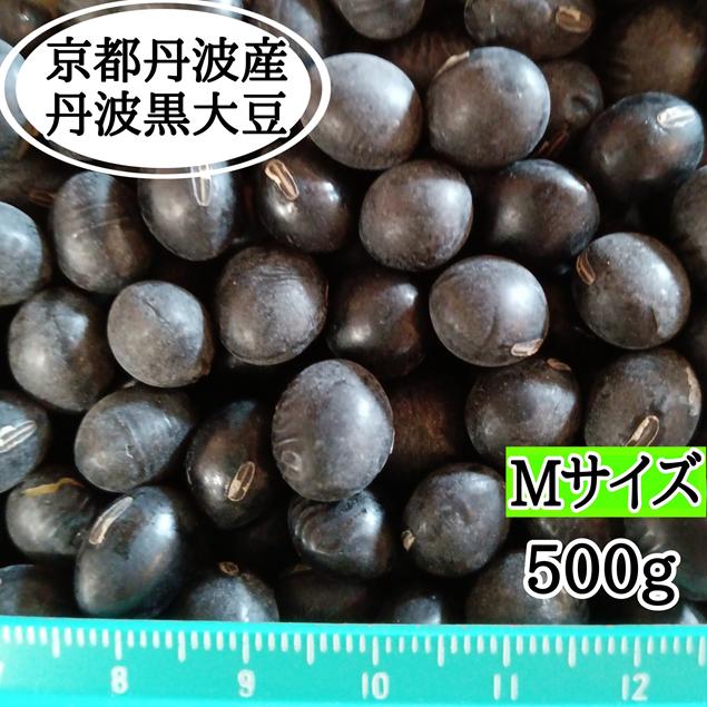 丹波黒大豆 【Mサイズ】500g 京丹波産 令和7年産 : 京丹波アサイ