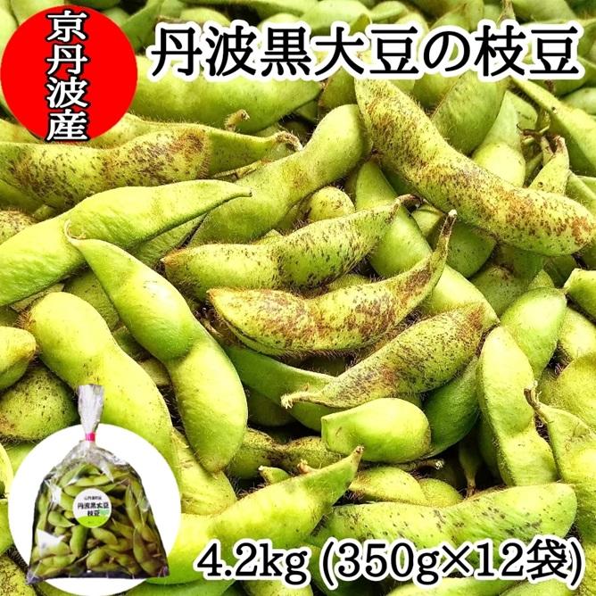 大豆の大豆 楽天市場】大豆 白目大豆 北海道代表銘柄 とよまさり 30kg【令和7年産
