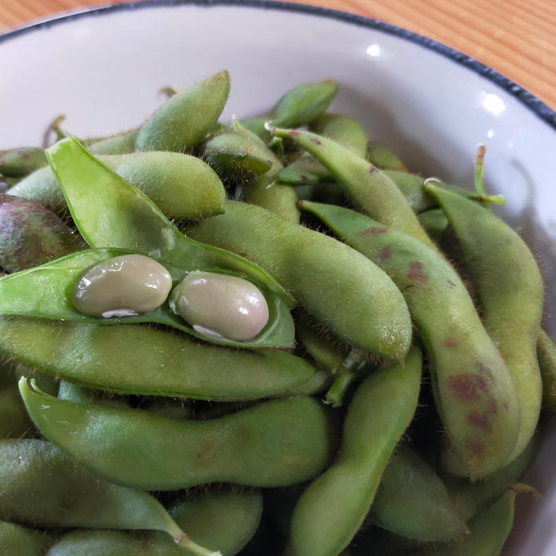 【訳アリ】 1.8kg 無選別 黒豆の枝豆 京丹波産 黒枝豆 黒豆 枝豆 : 京丹波アサイファーム - 通販 - Yahoo!ショッピング