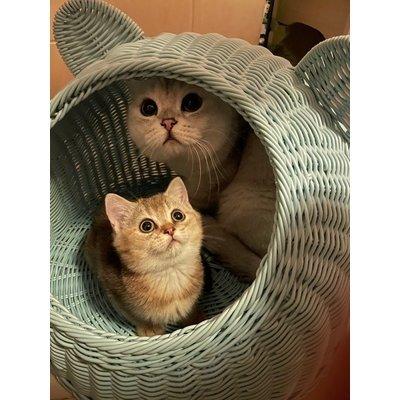 キャットハウス 猫ちぐら ペット用品 猫用品 犬 ペットキャリー ペットハウス おしゃれ バスケット 籐 ラタン アジアン ナチュラル 北欧 Cww 阿坂ストア 通販 Yahoo ショッピング