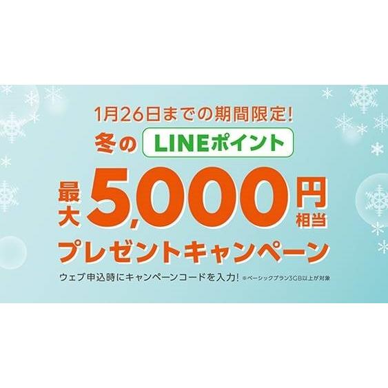 【メール便限定】LINEモバイル エントリーパッケージ（SIMカード後日配送）ステッカープレゼント【送料無料※沖縄除く】 | LINEモバイル | 01