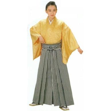 縞袴 袴 縞 はかま mi縞8547 舞台 衣装 着物 きもの 日舞 日本舞踊 お 