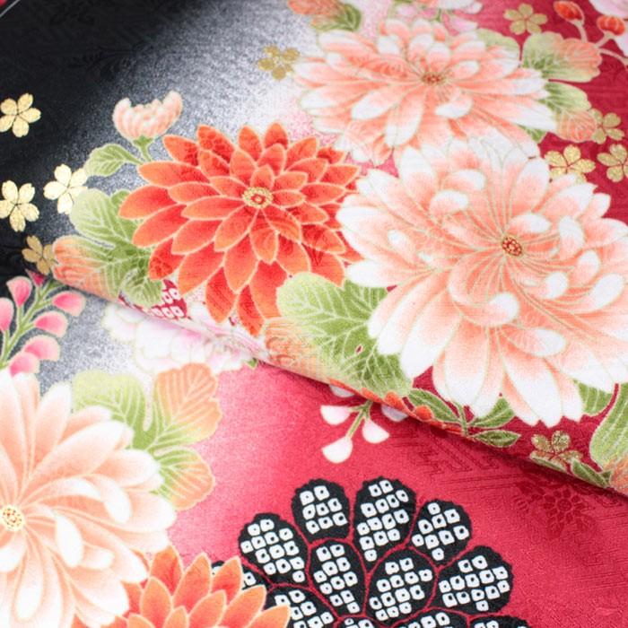 卒業式 二尺袖着物 総柄 紅色 黒 菊 桜 藤 着物 二尺袖 きもの 和服 レディース 女性 レトロ 謝恩会 袴 K 浅草きもの市 通販 Yahoo ショッピング