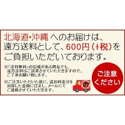 アウトレット 名古屋帯 九寸 Ｂ反 大特価 手芸 生地 反物 洗える帯 蔵出し 大特価 ランクＡ〜Ｃ 訳あり 数量限定 pp｜asakusa｜06