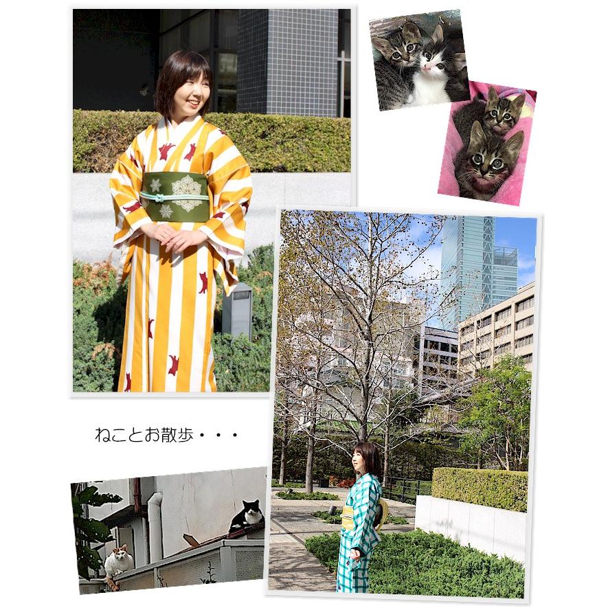 着物 猫 ねこ ネコ 小紋 洗える きもの 袷 カジュアル 普段きもの