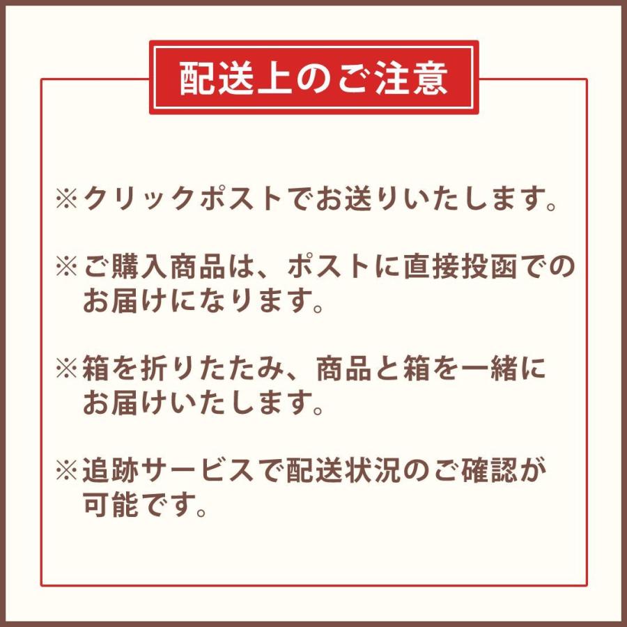 歯ブラシ洗浄剤 歯ブラシ パワークリーナー（POWER CLEANER） 30包セット 正規代理店 送料無料 除菌 消臭 洗浄　クリックポスト |  | 03
