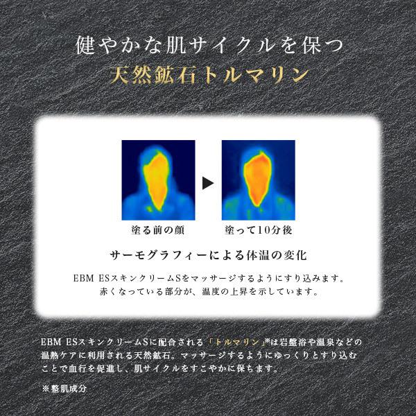 EBM ESスキンクリームS 50g くすみケア 敏感肌 スキンケア イー