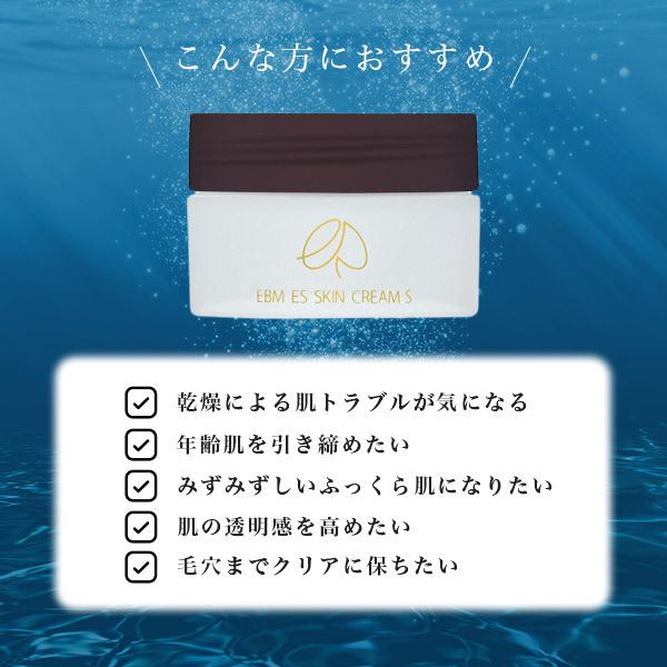 EBM ESスキンクリームS 50g くすみケア 敏感肌 スキンケア イー