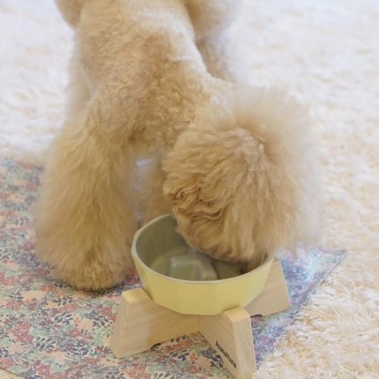 フードボウル 早食い防止 犬 Sサイズ 瀬戸焼 陶器 食器スタンド セット おしゃれ 日本製 AsanaYunaオリジナル 鉛カドミウム試験済 食器 黄色系｜asanayuna2018｜12