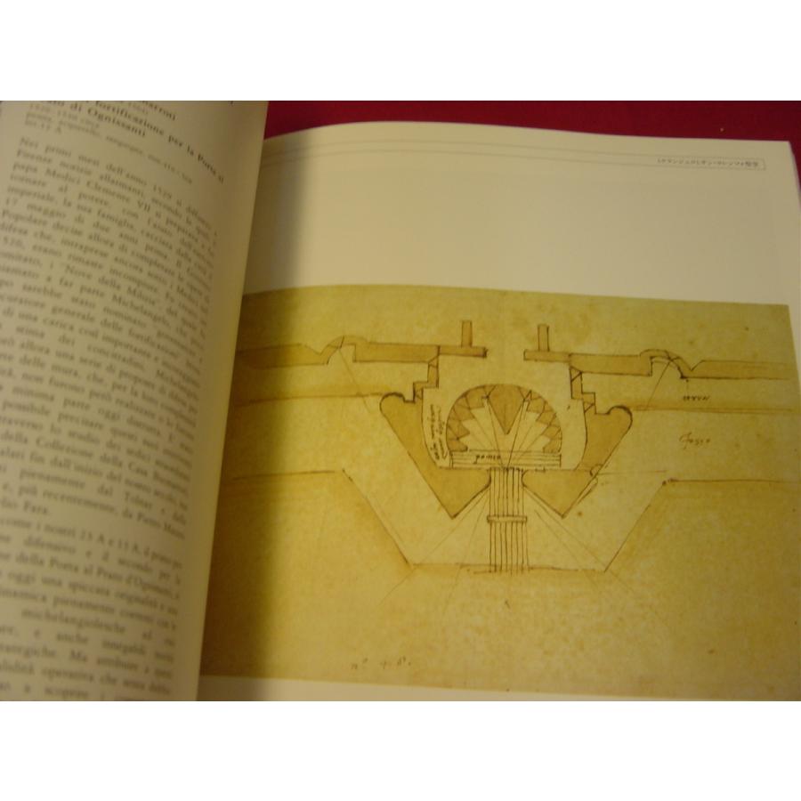 図録 ミケランジェロ展 Michelangelo e il suo mito : Asanobooks