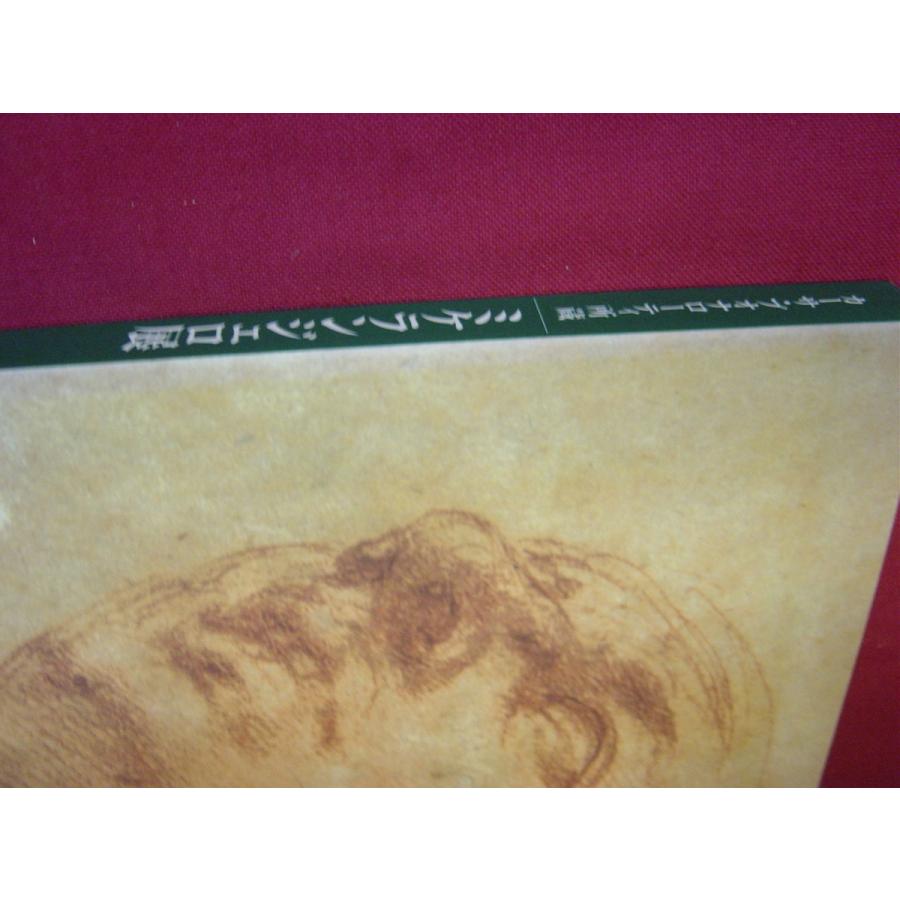 図録 ミケランジェロ展 Michelangelo e il suo mito : Asanobooks