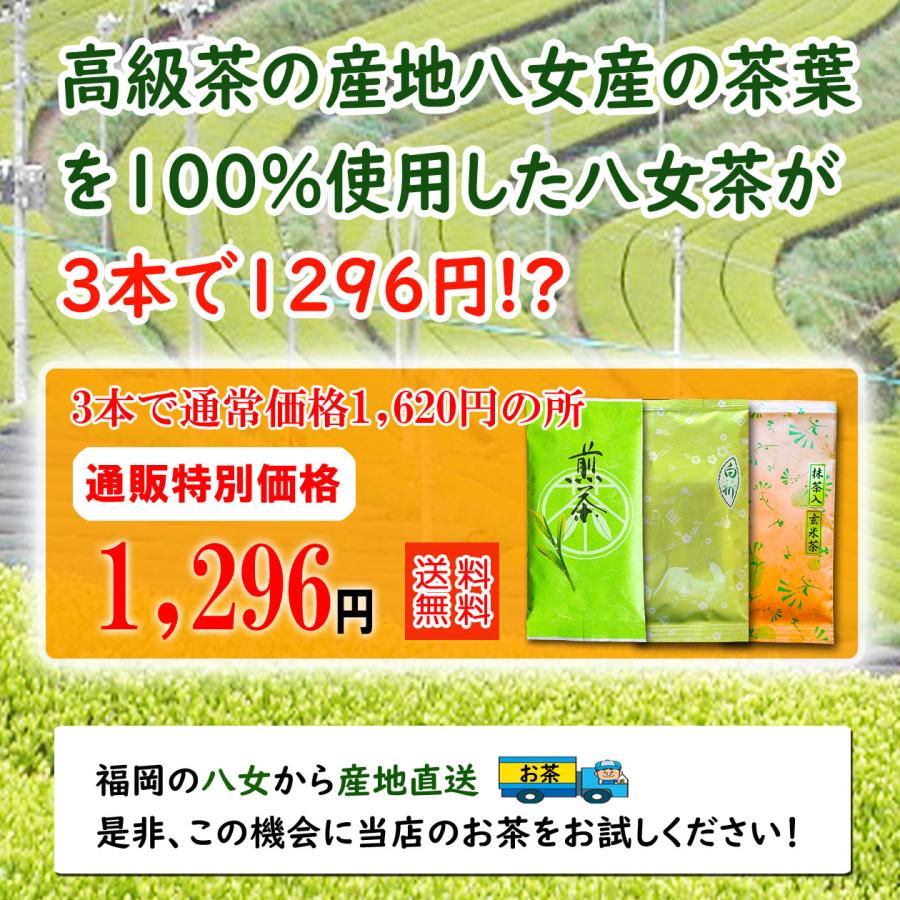 お茶 選べる 八女茶 3本セット 煎茶100g 白折100g 抹茶入り