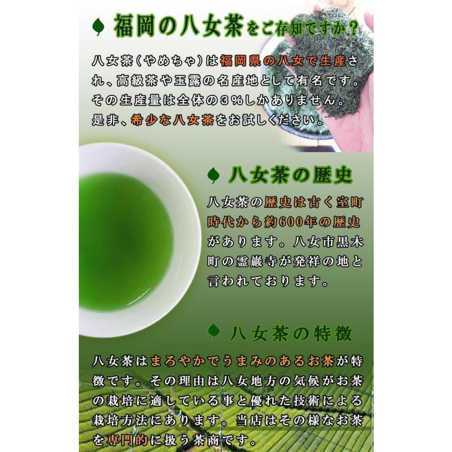 ほうじ茶 ティーバッグ 2g × 100個入 八女茶 焙じ茶 水出し お湯