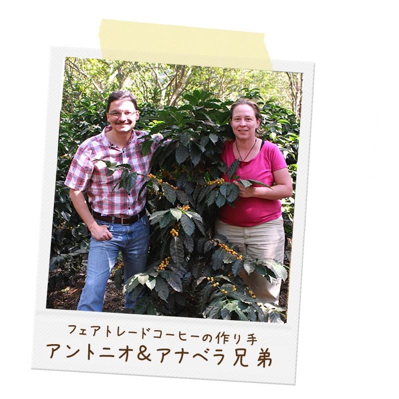 フェアトレード サンタフェリサコーヒー（豆）　150g　深煎り /  グアテマラ最高等級SHB グアテマラCOE入賞 酸味 コク | 第3世界ショップ | 01