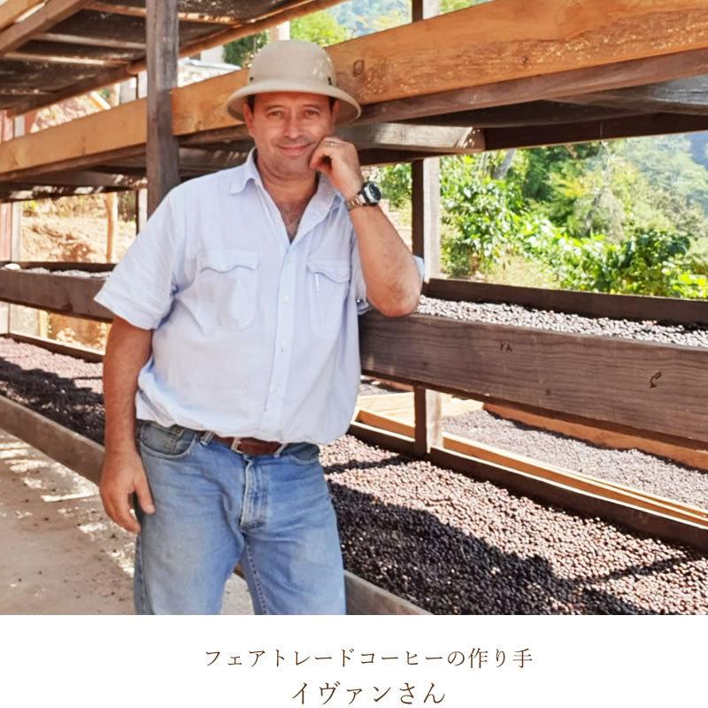 フェアトレード パロ・ブランココーヒー（粉）150ｇ　中深煎り / オーガニック 有機栽培 フェアトレード 天日乾燥 グアテマラCOE入賞 | 第3世界ショップ | 01