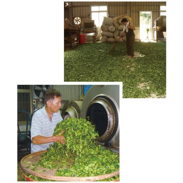 林農園の烏龍茶　70g　/ オーガニック 有機 茶葉 台湾 ウーロン茶(メール便 単品3個まで対応) |  | 02