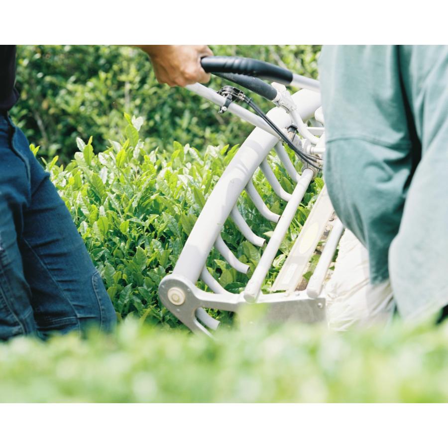 ぼくらが作った煎茶 70g (メール便 単品3個まで対応) /緑茶 国産 | 第3世界ショップ | 02