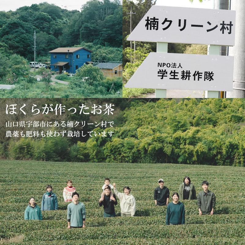 ぼくらが作った煎茶 70g (メール便 単品3個まで対応) /緑茶 国産 | 第3世界ショップ | 04