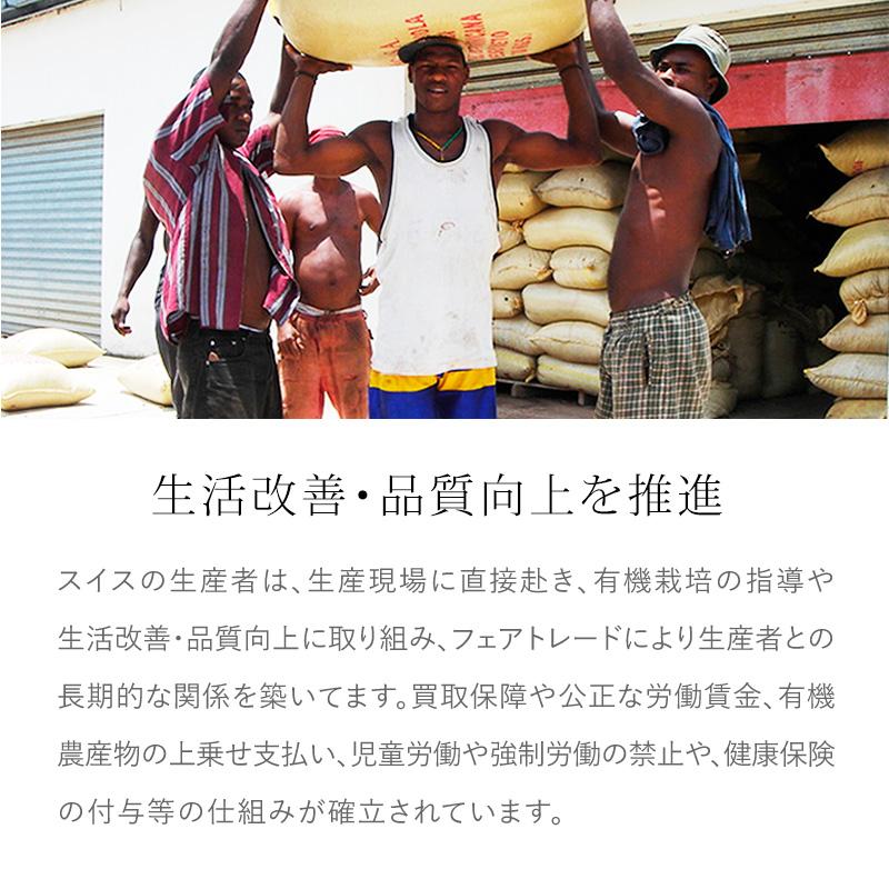 Artisan フェアトレード有機ミルクチョコレート（あひるちゃん）40g オーガニック バレンタイン ホワイトデー ギフト 添加物不使用 (メール便 単品16個まで対応) | 第3世界ショップ | 12