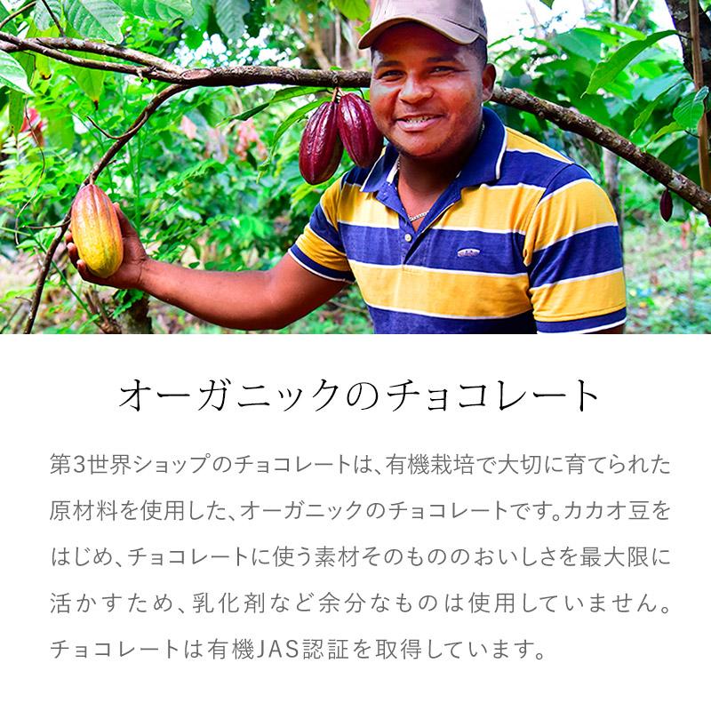 Artisan フェアトレード有機ミルクチョコレート（あひるちゃん）40g オーガニック バレンタイン ホワイトデー ギフト 添加物不使用 (メール便 単品16個まで対応) | 第3世界ショップ | 09