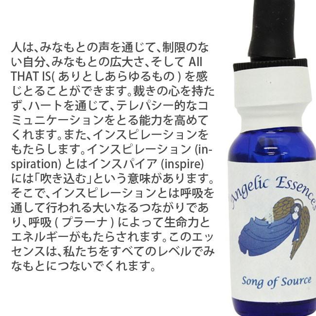 1 ソング オブ ザ ソースsongofthesource アンジェリックエッセンス エンライトメントキット Fang 癒やしのデパートasatsuyu 通販 Yahoo ショッピング