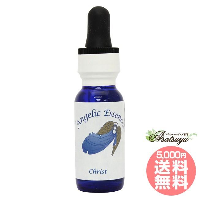 37 キリスト キリスト意識 Christ アンジェリックエッセンス マスターのエッセンス Fang96002 癒やしのデパートasatsuyu 通販 Yahoo ショッピング